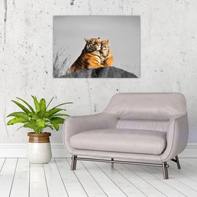 Sklenený obraz - Tigrice a jej mláďa, čiernobiely variant (70x50 cm)