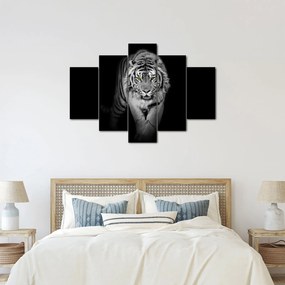 Obraz - Tiger so žltými očami (150x105 cm)