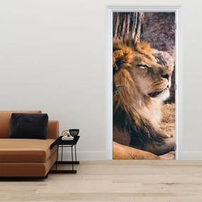 Fototapeta na dvere - Ležiaci lev (95x205cm)