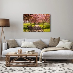 Obraz - sad čerešní (90x60 cm)