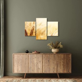 Obraz - detail obilia (90x60 cm)