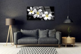 Obraz na skle Kvet kamene rastlina 140x70 cm