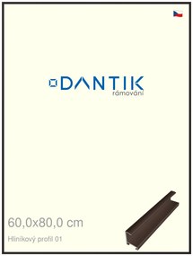DANTIK rám na obraz 60x80 | ALU Hnědá matná (Plexi Čiré)