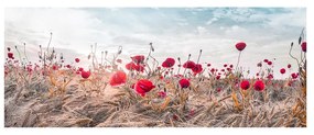 Obraz na plátne Styler Poppies, 60 x 150 cm