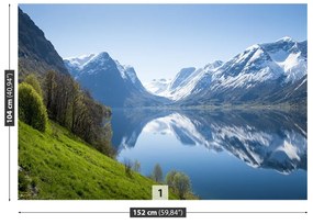Fototapeta Vliesová Fjord v nórsku 152x104 cm