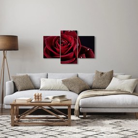 Obraz - Červená ruža (90x60 cm)