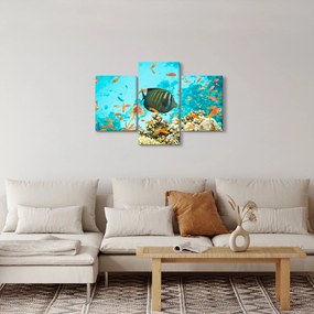 Obraz podmorského sveta (90x60 cm)