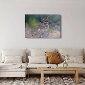 Obraz - Detail traviny (90x60 cm)