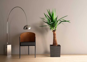 PLASTOVÝ KVETINÁČ FLORE RIFLO SADA 2KS 30X30 CM+25X25 CM ČIERNA