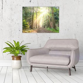 Sklenený obraz cestičky v lese (70x50 cm)