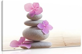 Obraz balans kameňov a ružové orientálne kvety Varianta: 120x80