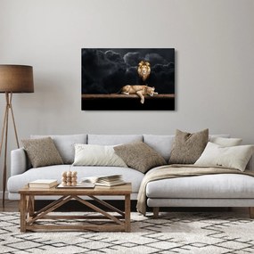 Obraz - Lev a levice v oblakoch (90x60 cm)