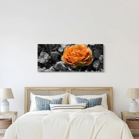 Obraz kvetu (120x50 cm)