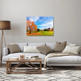 Sklenený obraz - Jesenná krajina (70x50 cm)