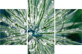 Obraz - Makro snímka kvetu (90x60 cm)