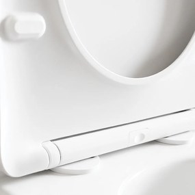 Geberit Geberit, závesný set pod omietku Duofix Delta + závesná WC misa Desna s toaletným sedadlom z duroplastu, Vortex splachovanie, biela lesklá, LAV-SETDESNAGEB