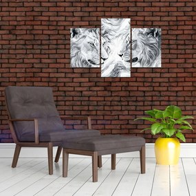 Obraz - Kreslené levie hlavy (90x60 cm)