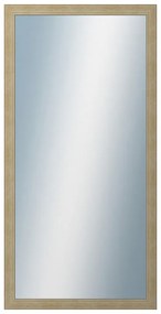 DANTIK - Zrkadlo v rámu, rozmer s rámom 60x120 cm z lišty ANDRÉ veľká Champagne (3158)