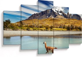 Obraz - Národný park Torres del Paine (150x105 cm)