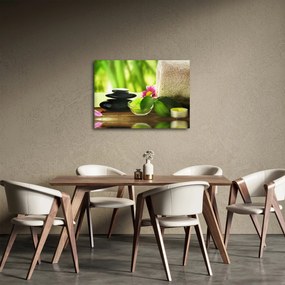 Obraz masážnych pomôcok (70x50 cm)