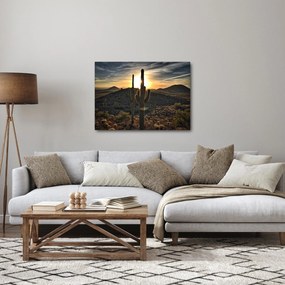 Obraz - kaktusy v slnku (70x50 cm)