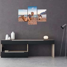 Obraz tiav (90x60 cm)
