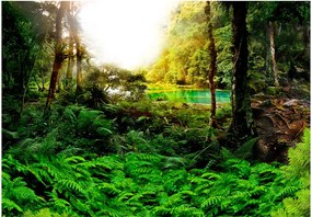 Fototapeta - Tropický prales 250x175 + zadarmo lepidlo