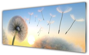 Obraz plexi Púpava kvety 125x50 cm