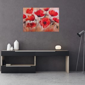 Obraz - Vlčie maky (90x60 cm)