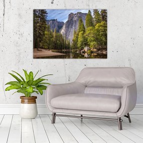 Obraz - Pod Yosemite skalou (90x60 cm)