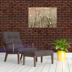 Sklenený obraz - Harmonická lúka (70x50 cm)