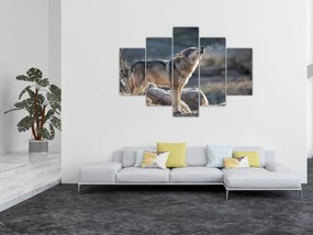 Obraz - Vyjúci vlk (150x105 cm)