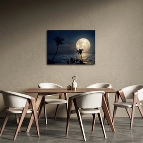 Obraz - Pláž za splnu (70x50 cm)