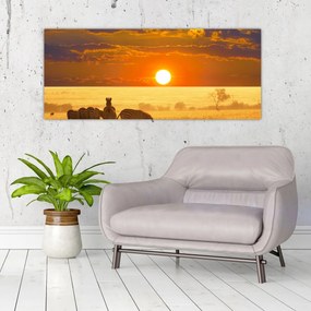 Obraz - Zebry so západom slnka (120x50 cm)