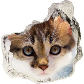 Fototapeta diera na stenu 3D Malá mačka nálepka nd-p-162385240