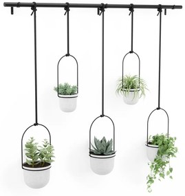 Plastové obaly na kvetináče v súprave 5 ks na bylinky/závesné ø 7,5 cm Triflora – Umbra