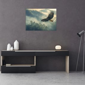 Obraz - Letiaci orol (70x50 cm)