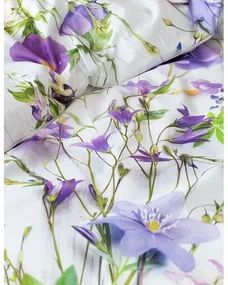 Matějovský Bavlnené obliečky Deluxe Bluebell, 140 x 200 cm, 70 x 90 cm