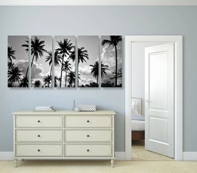 5-dielny obraz kokosové palmy na pláži v čiernobielom prevedení - 200x100