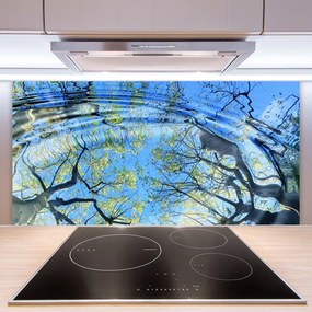 Nástenný panel  Voda stromy umenie 125x50 cm