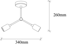 Stropní svítidlo SPARROW II černé