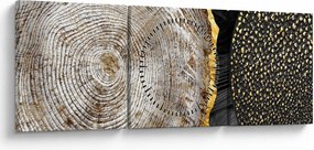 Obrázok - Kmeň stromu v koláži 2 (s hodinami) (90x30 cm)