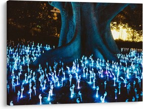 Obraz - Magický strom (70x50 cm)