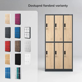 Šatníková skriňa BHP antracitová / dub sonoma, 6-dverová: Eco Design IGOR, 900 x 1850 x 450 mm
