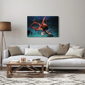 Obraz - Chobotnica (90x60 cm)