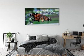 Obraz na akrylátovom skle Motýľ na kvetine 140x70 cm