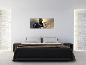 Obraz - Kone (120x50 cm)