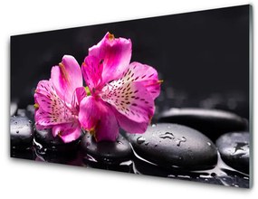 Skleneny obraz Kvety kamene zen kúpele 100x50 cm