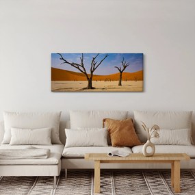 Obraz - Údolie smrti (120x50 cm)