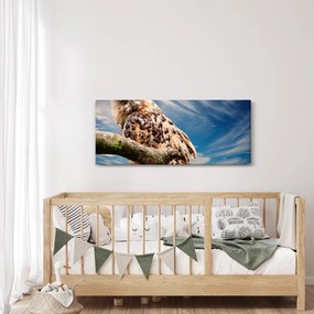 Obraz - Sova (120x50 cm)